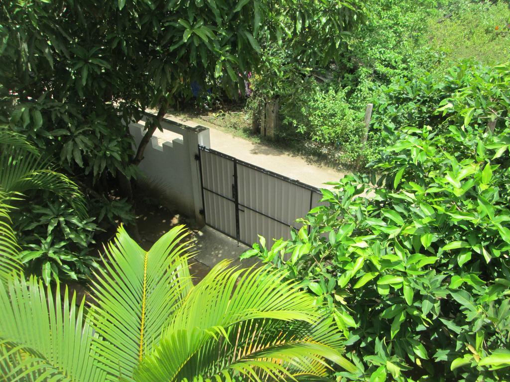 Bay Reach Home Stay Weligama Eksteriør billede