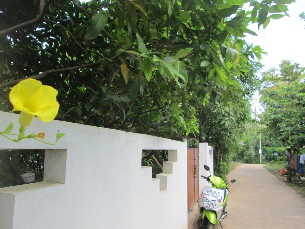 Bay Reach Home Stay Weligama Eksteriør billede