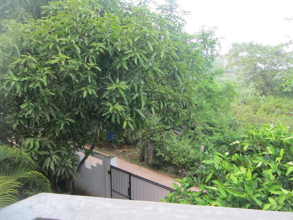 Bay Reach Home Stay Weligama Eksteriør billede